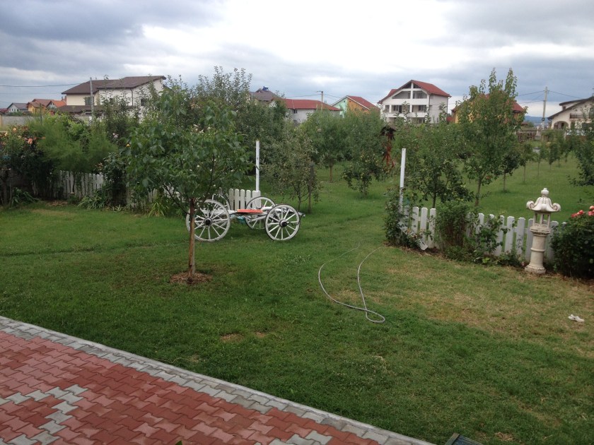 A view of Pastor Rica's orchard