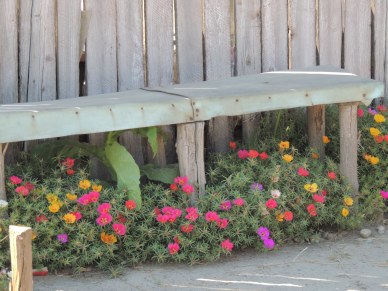 A little piece of beauty